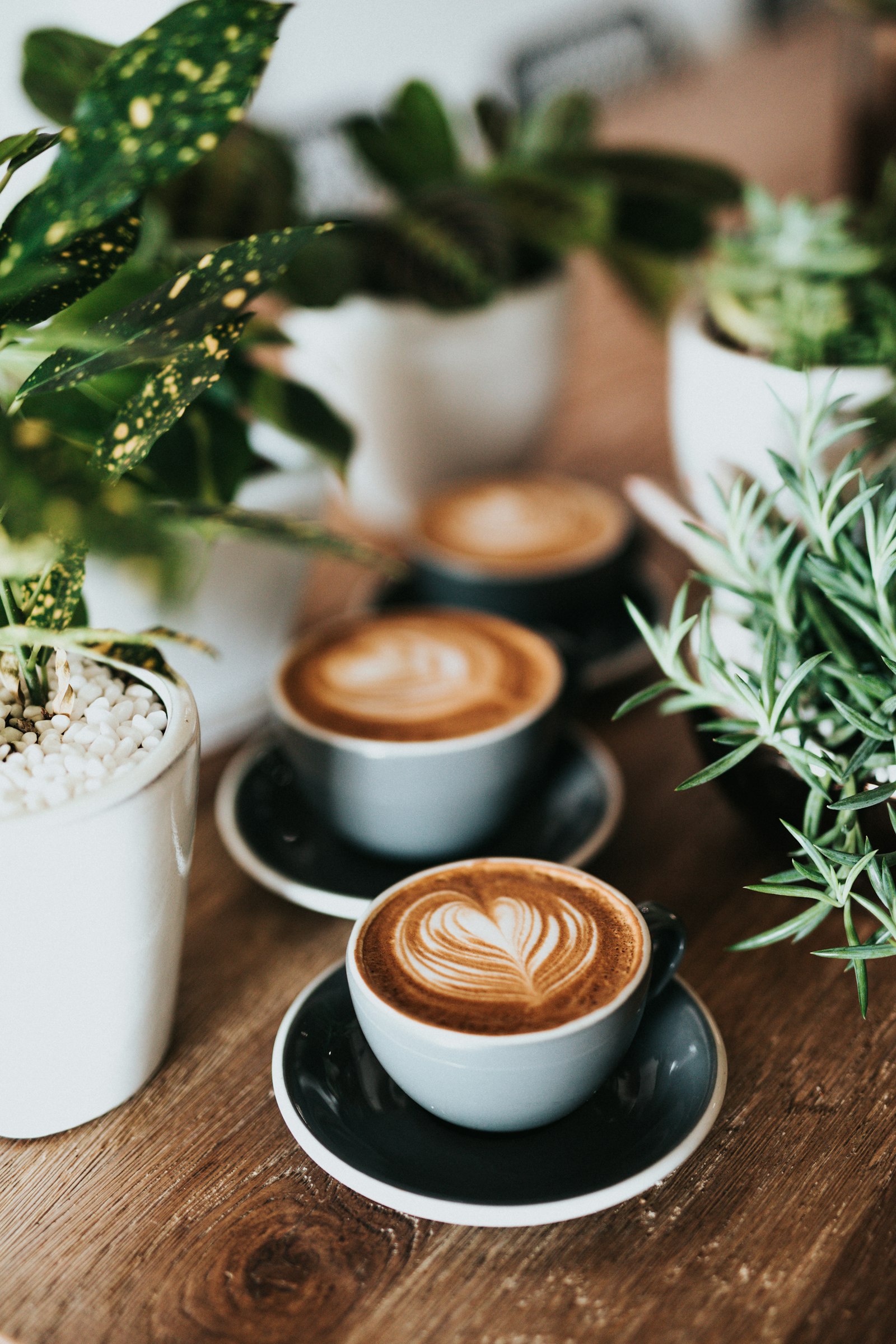 Hot drinks served at AMA Cafe